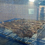 遊酒食堂 宇都宮 - ビーフジャーキー