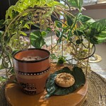 ベンガルタイガー - レインフォレストチャイ