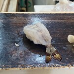 大磯 - ボタンエビ