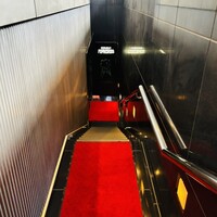 アピシウス -  アピシウス -