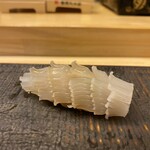 鮨処 凜 - ヤリイカ