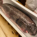 鮨処 凜 - 坊主銀宝