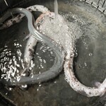 うなぎ料理 よし宗 - 