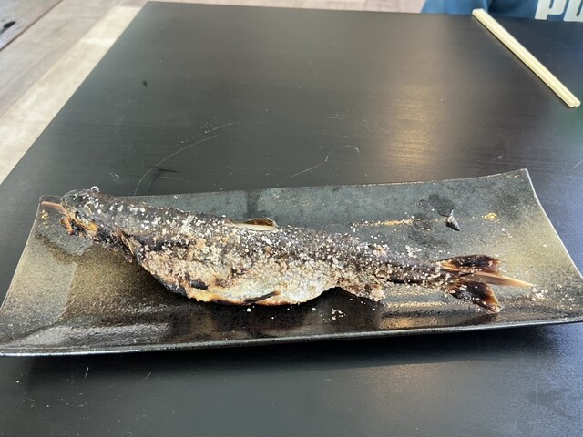 釣り堀カフェクローバー - 白石（カフェ）の写真