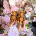 Little Bear Meister - 桜満開の店内が素敵！