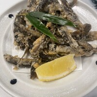 鰻割烹 伊豆栄 本店 - 