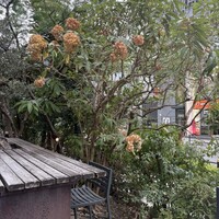 イル ギオットーネ ディ ピュー - 