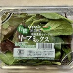 紀ノ国屋 - ベビーさんなのに、葉っぱが肉厚で香り高く、歯応えがあります。