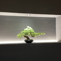 堂島焼肉料理店 - 