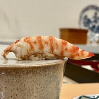 鮨 輝泉 - 車海老