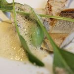 アニエルドール - 