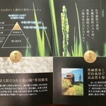 龍の瞳 - ◼️人