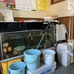 川京 - 店内の水槽　大きなサザエが沢山