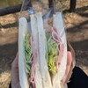 ベーカリーフジノキ - 