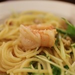 ピオッポ - 再訪　プリップリの海老が結構入ってました☆