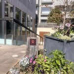 ダンディゾン - 