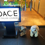 PACE - 懐かしいエントランス