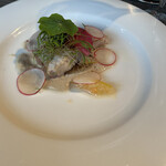 イグレック ベガ - 