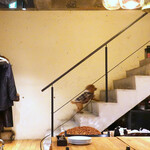 PACE - 階段を駆け上がるプー１３歳