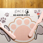 PACE - 可愛いドギー・セット