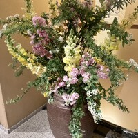 浅草むぎとろ 本店 - 