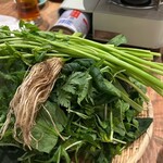 やくぜん酒場 甘草 - 