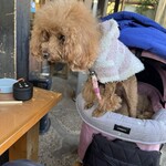 そば処 湧水 - 蕎麦に食いつくｗ