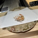 天冨來 ゆきむら - 