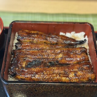 うなぎのはら川_0