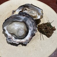 MOT - 茹で牡蠣に蕗のとうの麦味噌ソース