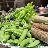 スガラボヴィー - 