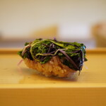 鮨おばな - ◇カイワレ 昆布〆
      行き着いたカイワレは広島のハーブ農家である梶谷農園のもので、ミシュラン店なども使うほど。 これまでよりもしっかり伝わる旨味が特徴で、ザクザクと噛み締めて深まる香りと味わい。