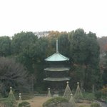 ホテル椿山荘東京 - （2009年12月）部屋から眺める庭園