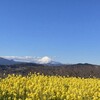湘南なの花フルーツ