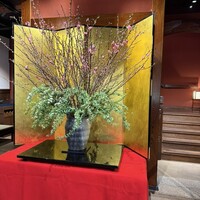 東京 芝 とうふ屋うかい - 