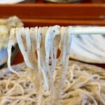 手打そば食堂 たぐる - 瑞々しい食感のそば