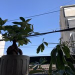 上海ロンタン - 