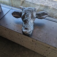 飛騨牛一頭家 馬喰一代 長良本家 - 