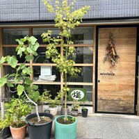 セルサルサーレ - 