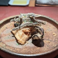 イル アオヤマ - 