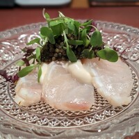 イル アオヤマ - 