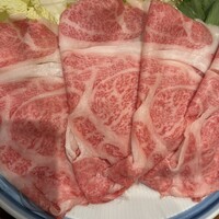白鳥 -  白鳥 -