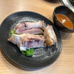 飛天龍・松島 - とんそく