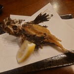 居酒屋So>Ta - オコゼ唐揚げ