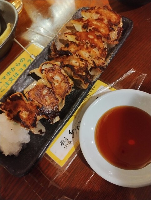Gyoza Sakaba Amemiya photo 2
