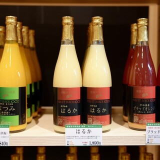 えひめ果実倶楽部みかんの木_1