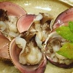 竹屋町 三多 - とり貝(焼く前)