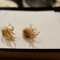 天七 - 