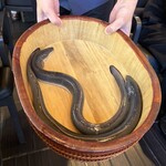 銀座 四代目 高橋屋 銀座店 - 