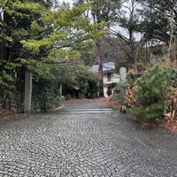 L'Arbre - 